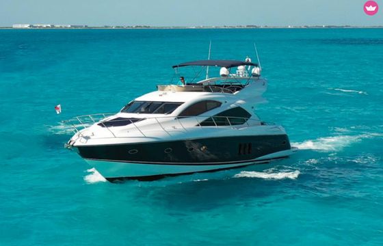 sunseeker 64 predator