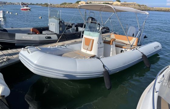 zodiac medline 580