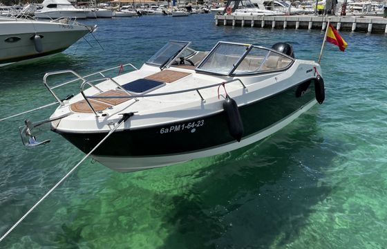 quicksilver activ 595 cruiser