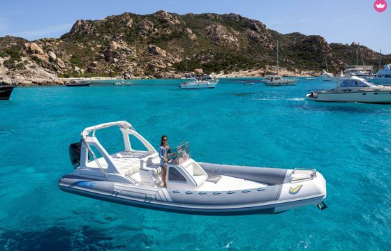 sacs marine s800