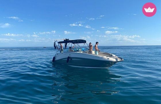 sea ray 260 sd