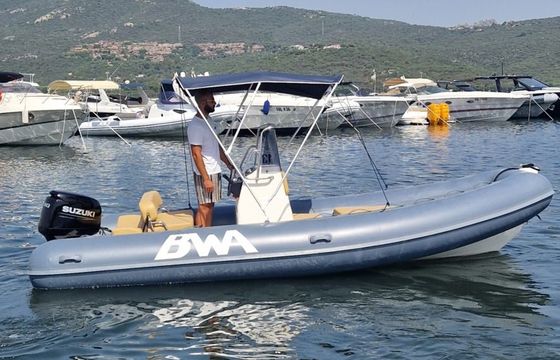 bwa 550