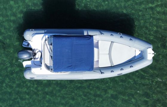 predator 650 touring