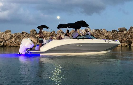 sea ray sdx 26'