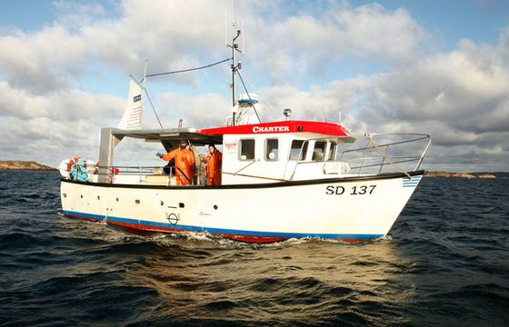 stigfjord 37