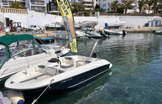 bayliner element
