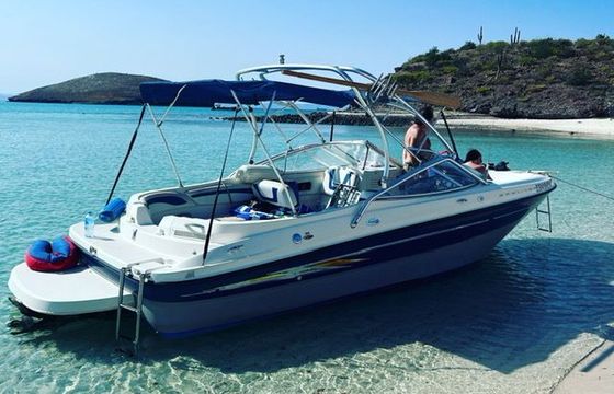 bayliner 245