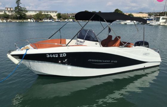 barracuda 545