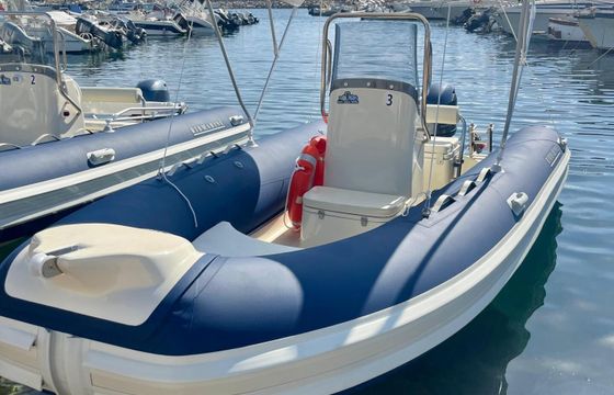 ribmarine 485