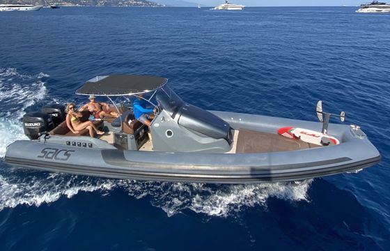 sacs marine strider 10