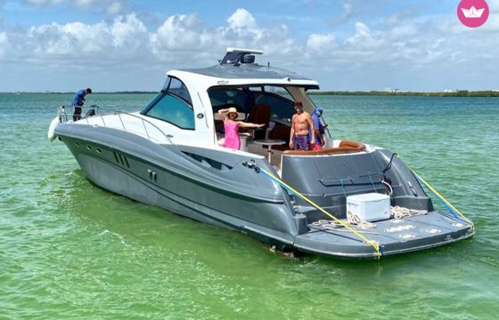 sea ray sundancer