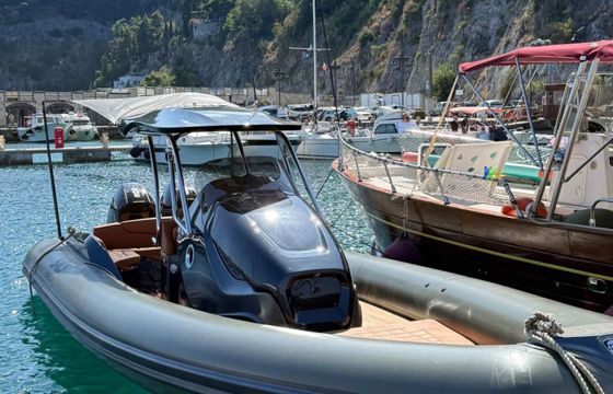 sacs marine strider 10