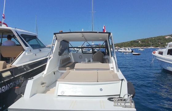 bayliner trophy