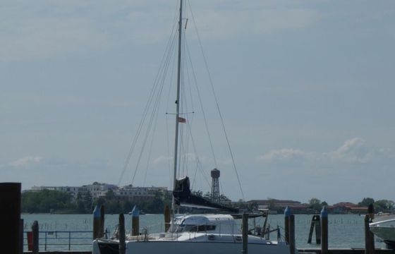 wissman cat 36