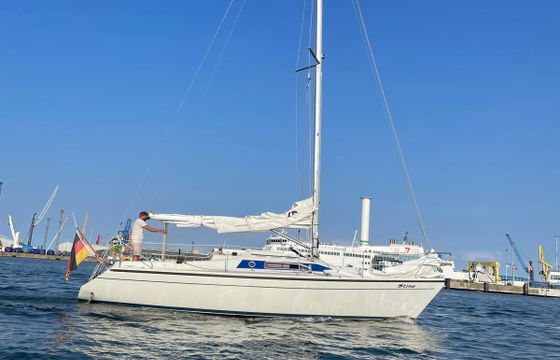 dehler 31