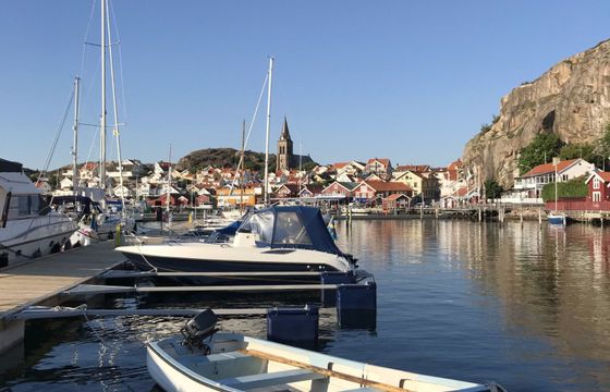 koster 46