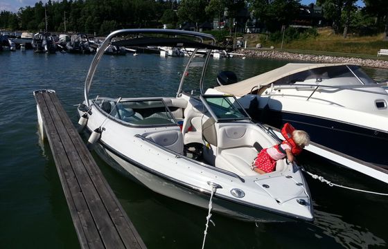 crownline 21ss