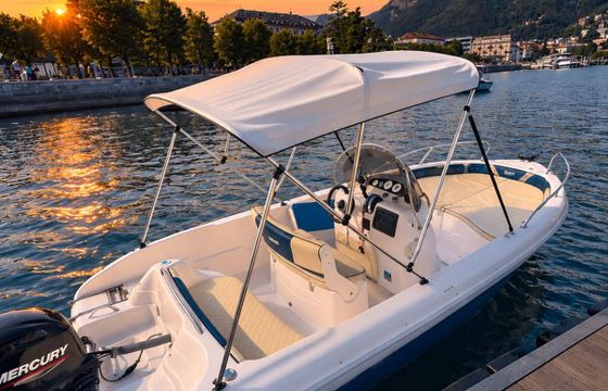 ranieri shark 19