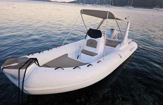 icon 19c