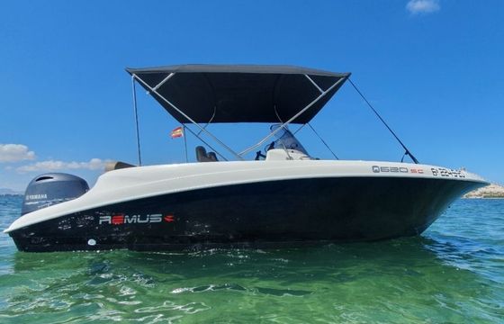 sessa marine remus 620