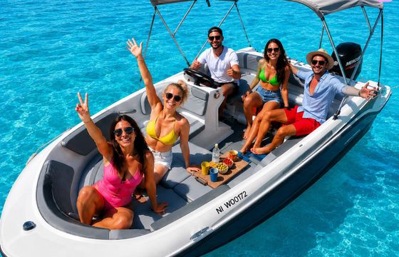 bayliner bayliner m15