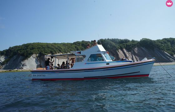 nelson 34