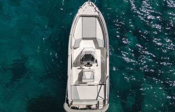 trimarchi nica