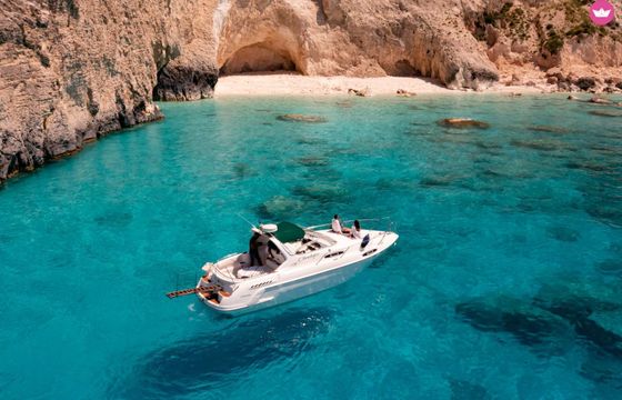 sealine ambassador
