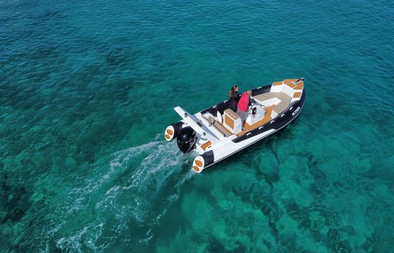 poseidon nautics rib 600