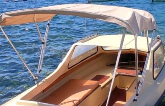 ornvik 550
