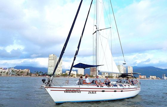 hunter 50