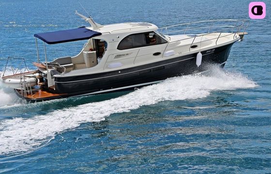 sas vektor adriana 36