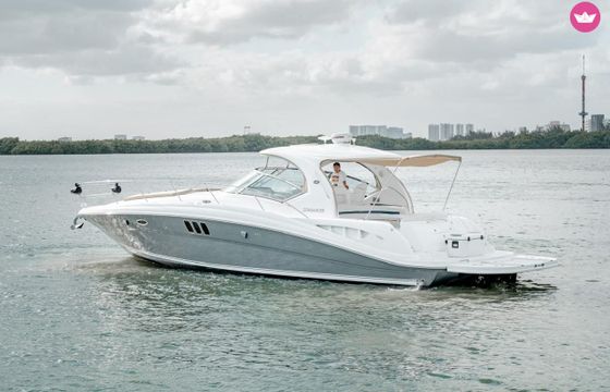 sea ray sundancer