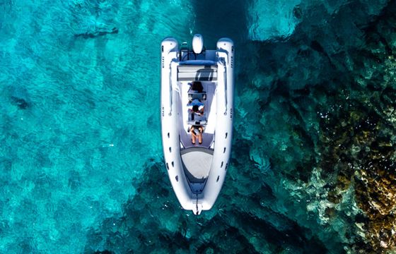 selva marine