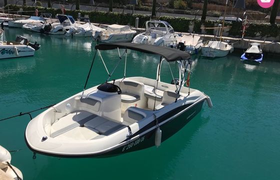 bayliner element 160