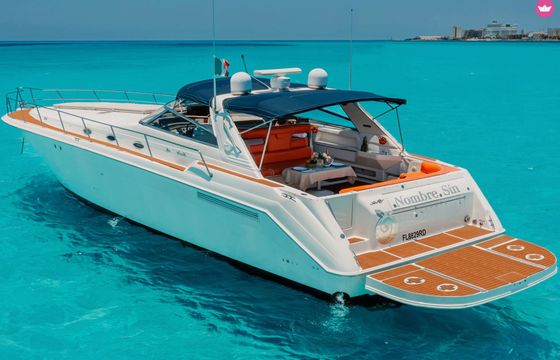 sea ray sundancer