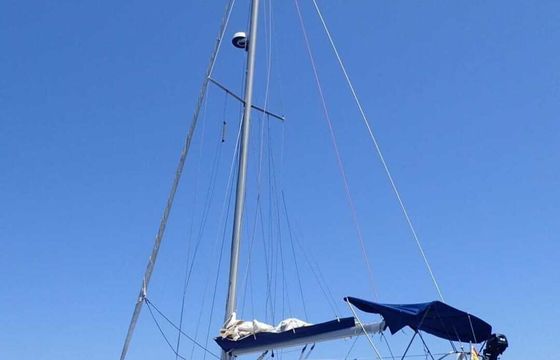 north wind 40