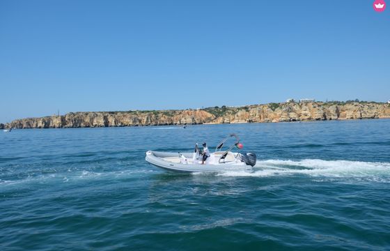 italboats 650 predator