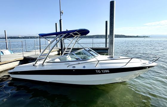hellwig milos v590