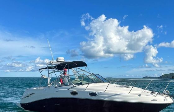 sea ray 270