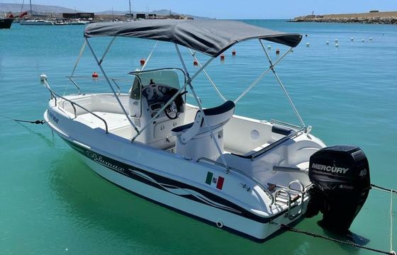 tancredi blumax 19