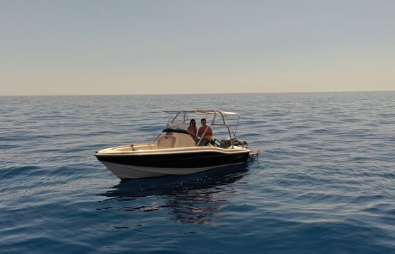 scout 205 sportfish