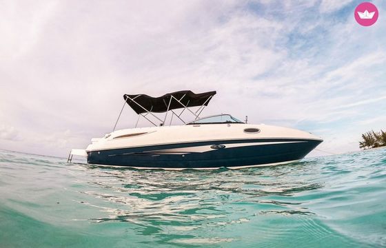 sea ray 8m