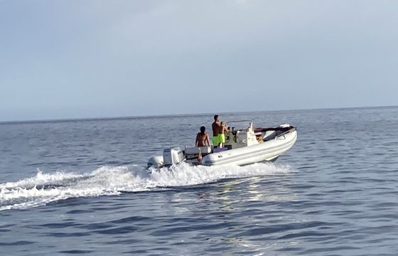 joker boat clubman 24’