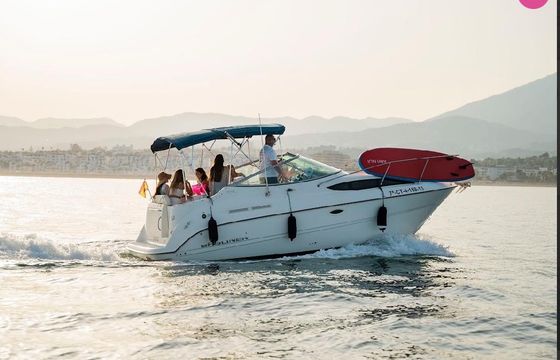 brunswick boat group 245 sunbridge