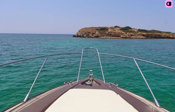 sunseeker 47 sunseeker 47