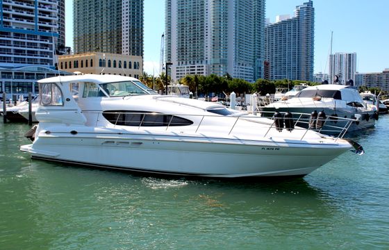 Searay 50