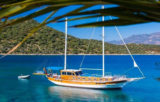 Dilara-1