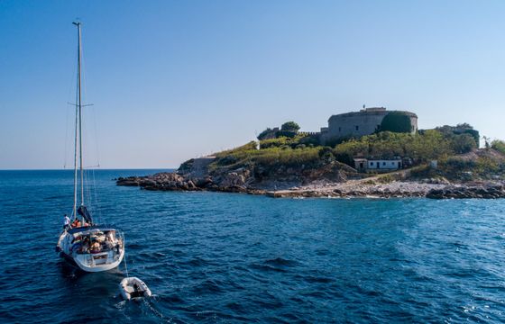Vagabund