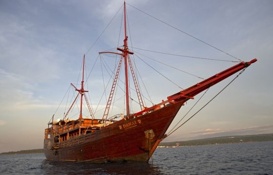 Damai